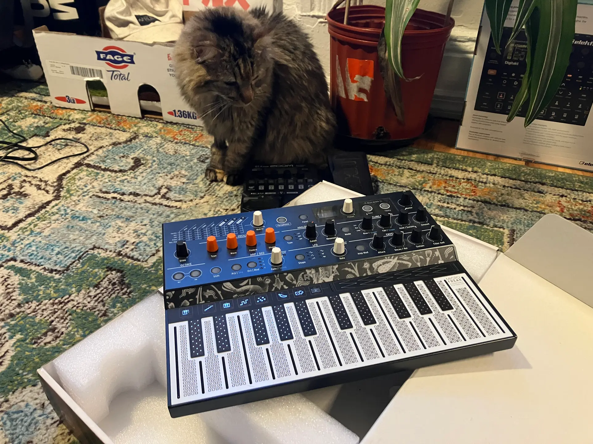 arturia microfreak synth