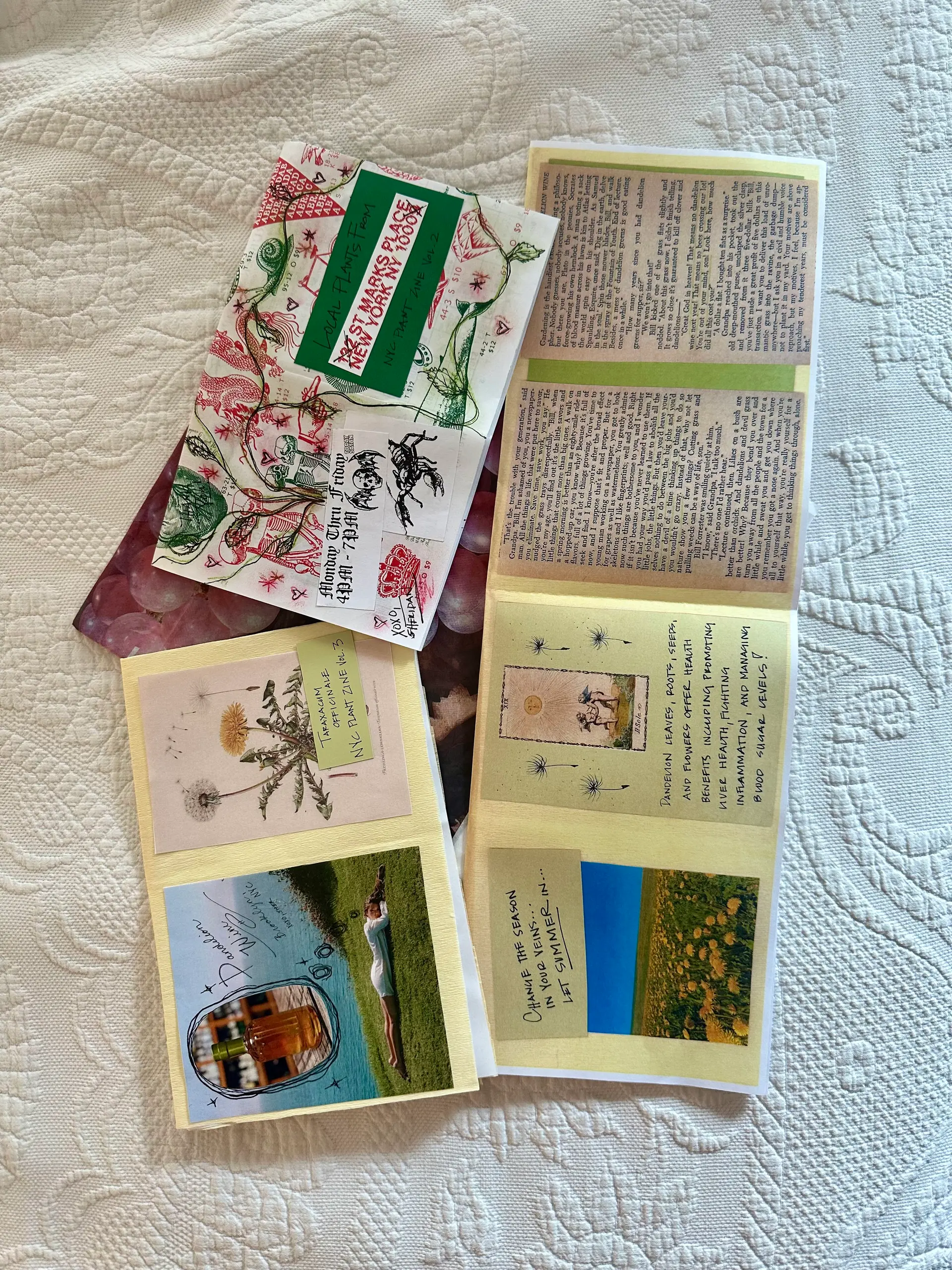 A Zine in Your Mailbox